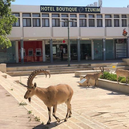 Tzukim Desert Traveler'S Hotel - מלון צוקים Micpe Ramon Exteriér fotografie